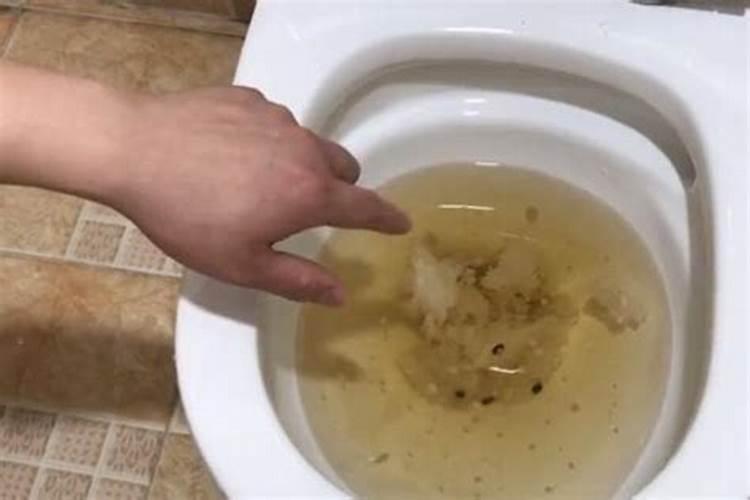 坟前怎样说好话？