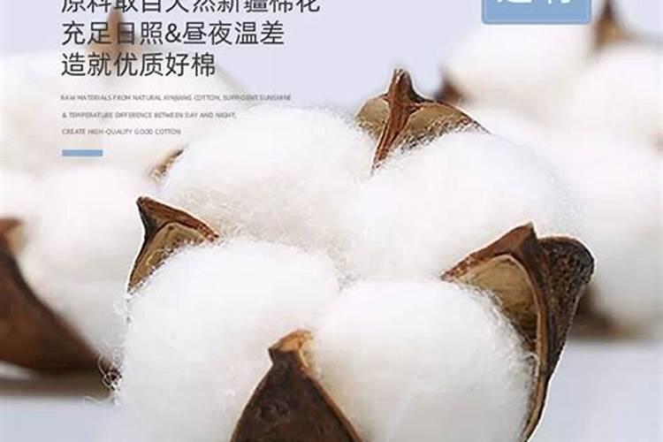 爬千佛山(登高望远) 分享自身的旅行经验和心得