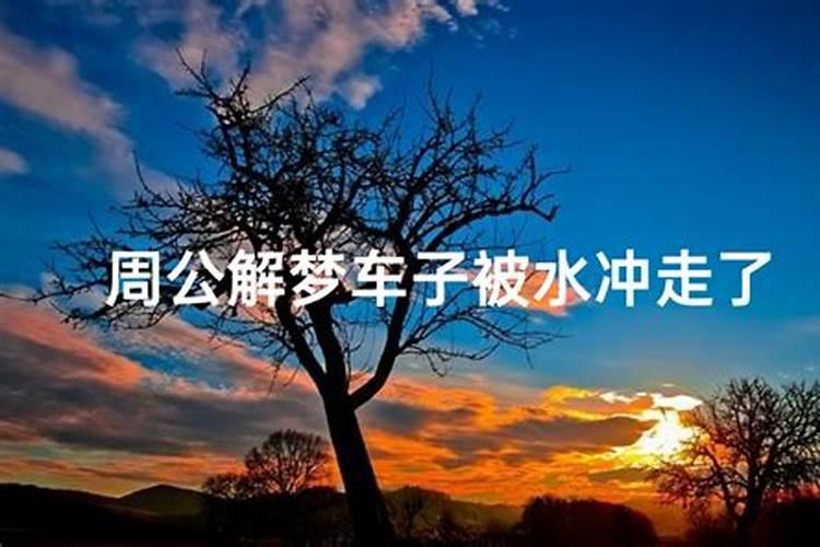 梦见海上飘着汽车的预兆