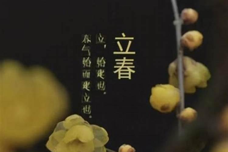 梦见大蟒蛇吃蟒蛇的预兆