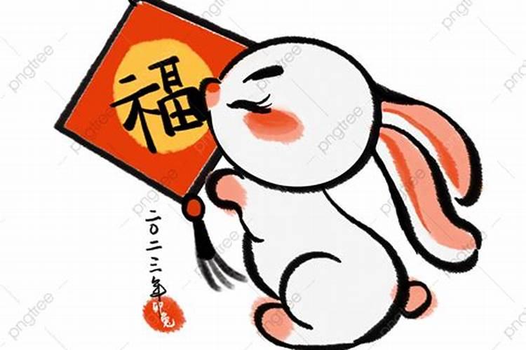 属兔人最倒霉的几年