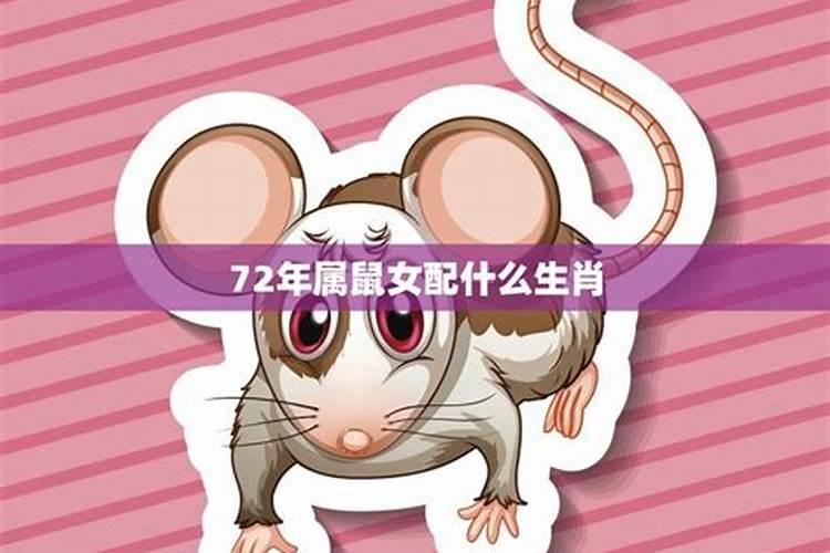 蛇年属鼠的犯太岁吗