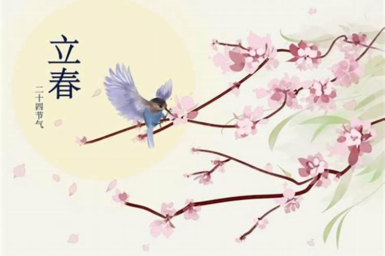 2024年2月4号怎么样