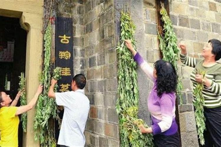 清明节什么时候插柳枝