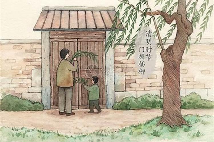 清明节插柳什么时候插最好