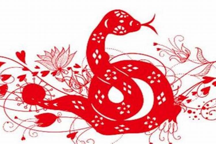 梦见兔子和蛇的预兆
