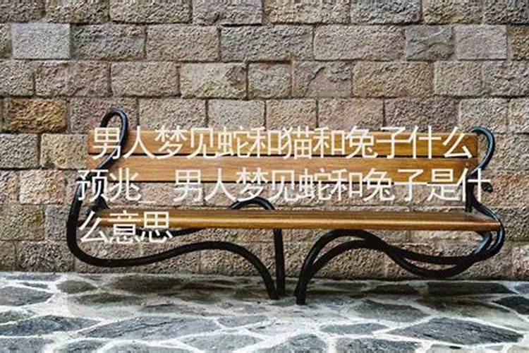 梦见蛇和兔子的预兆