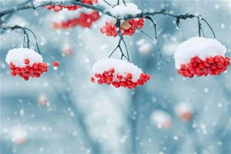 女人梦见下雪什么意思 女人梦见下雪代表什么