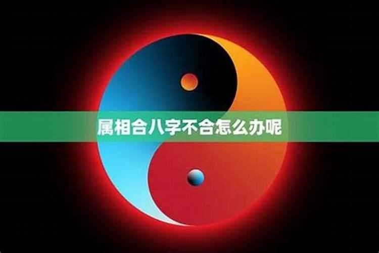 八字不合还能在一起吗 看看这个你就明白了
