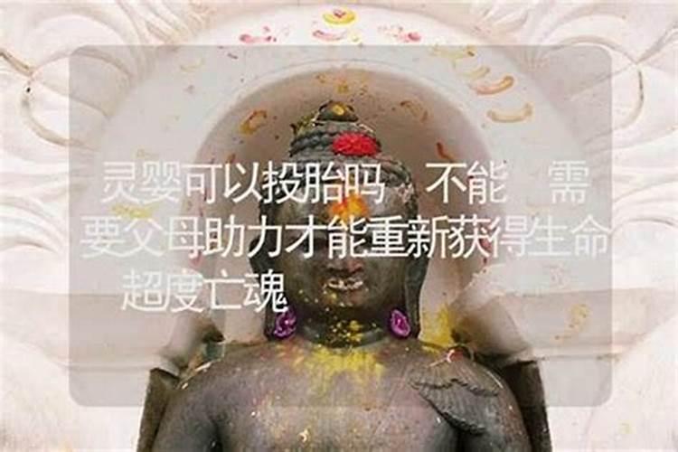 梦见女人自动投入怀抱什么征兆