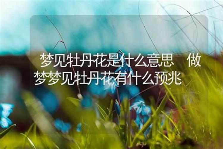 梦见偷花是什么意思