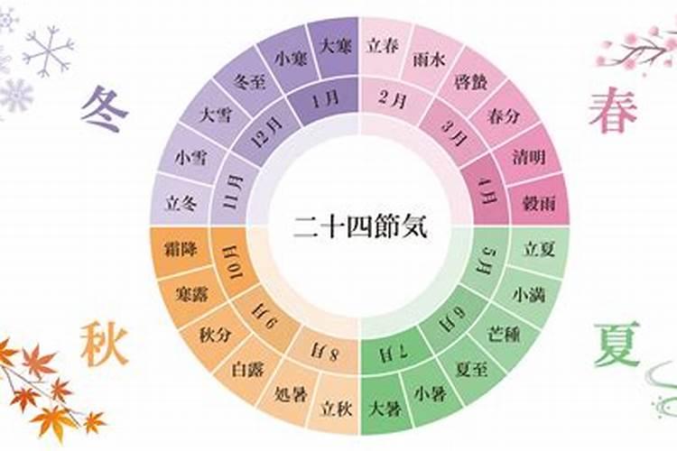 备孕梦见乌龟是怀孕了
