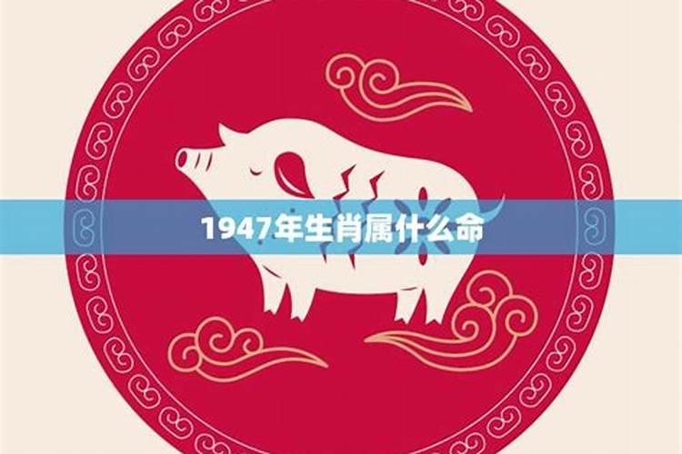 1947年属猪人2024年运势及运程详解