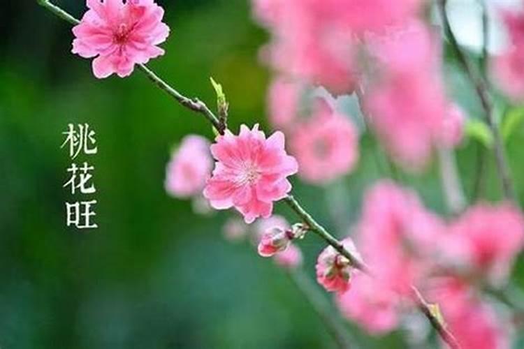 祭桃花是什么意思？