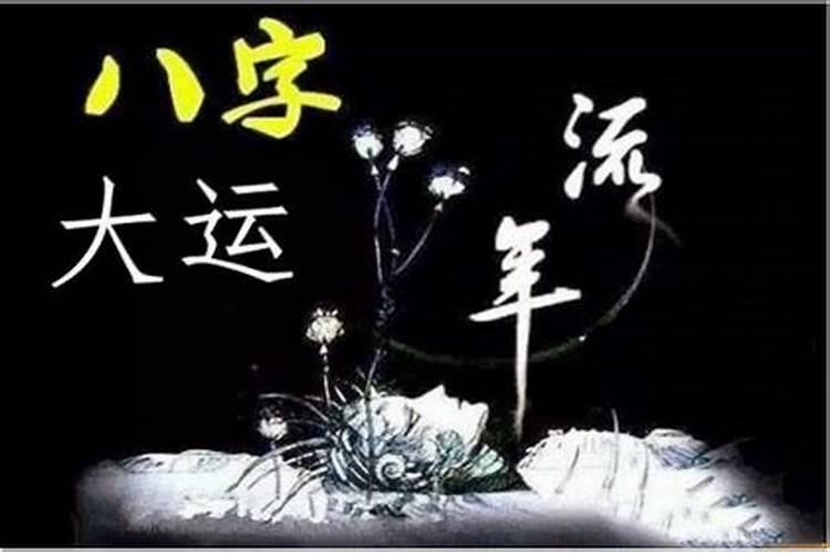 丙子年的命理特征与解析