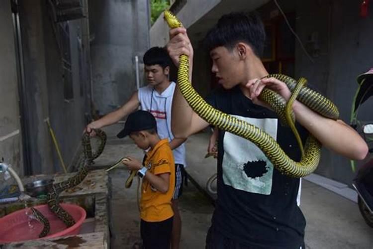 梦到一条粉色的蛇把一个孩子咬了,我把蛇弄死了是什么意思？