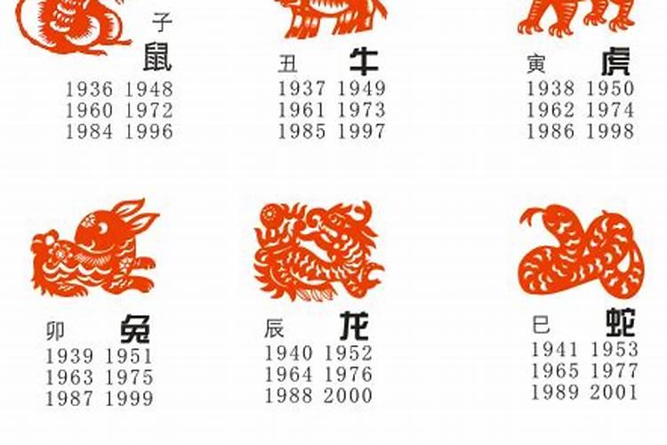12个生肖中共有49个号码,各分别的号码是什么？