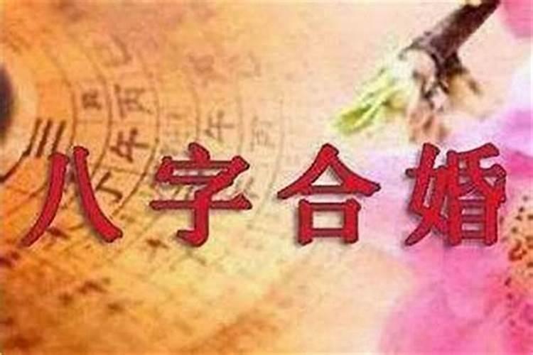 八字合婚上等婚好不好 上等婚儿孙满堂？