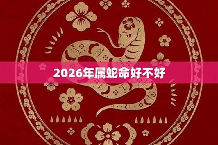 1977年冬至出生的女孩命运
