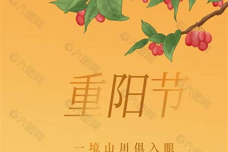 重阳节敬老内容