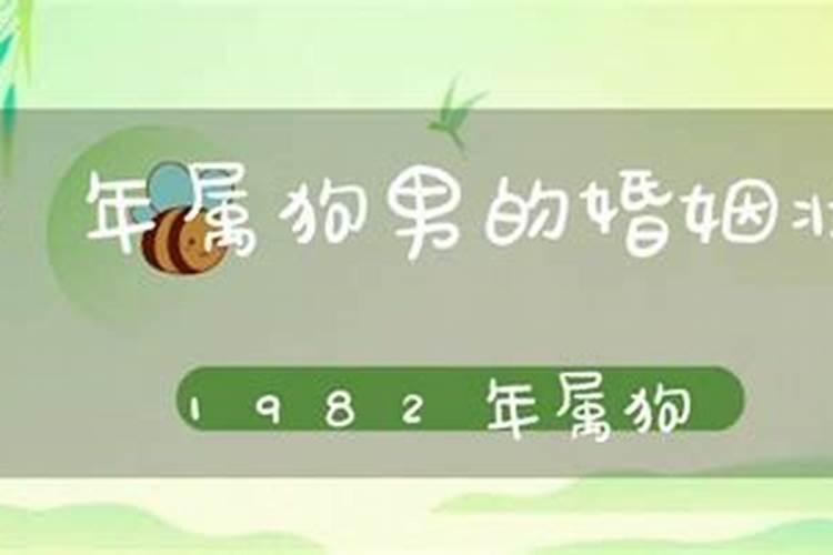1982年属狗人有几段婚姻 一生命运发展疾苦？