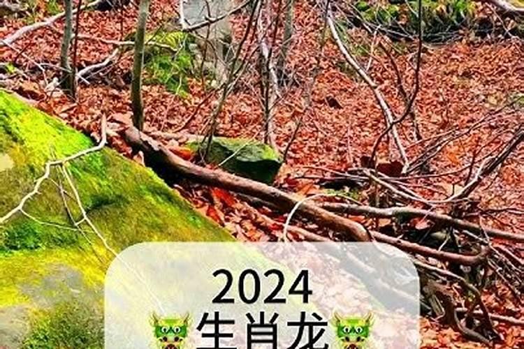 1988属龙人2025年每月运势详解