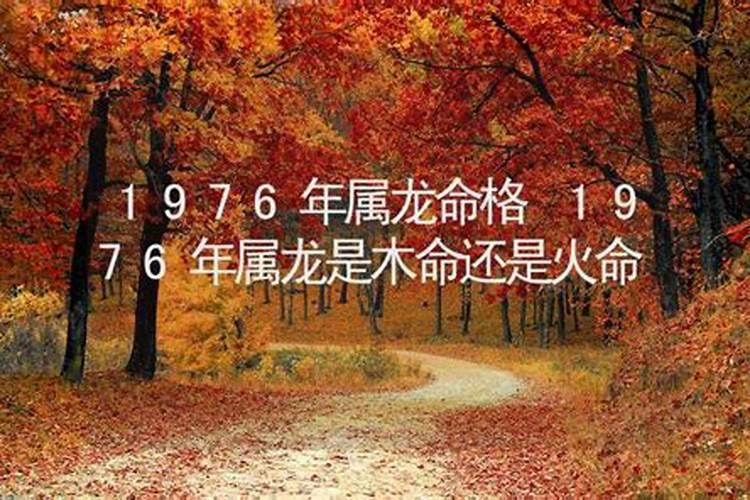 1953年属相是什么