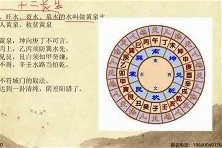 梦见蛇还吃蛇肉的预兆