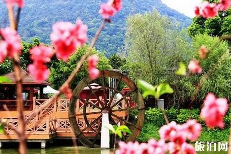 广东清明节适合去哪里旅游