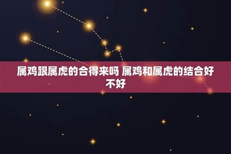 属鸡和属虎的命运相克吗