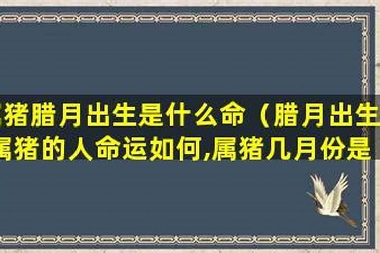 哪一天是龙抬头