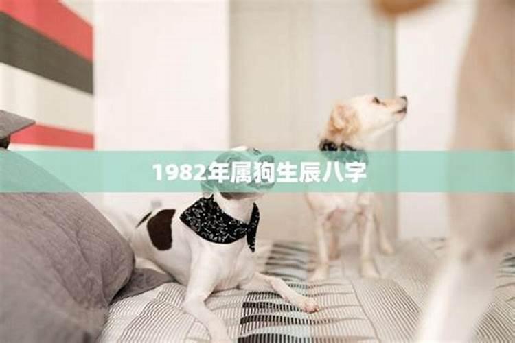 租农村房多少钱一个月