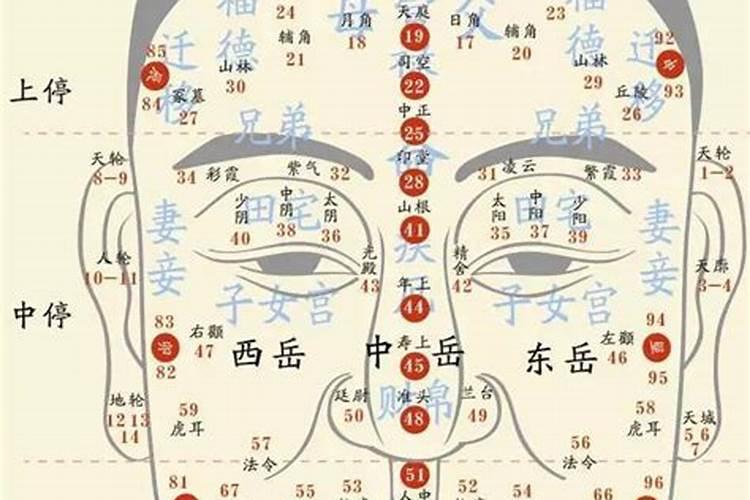 什么年龄在面相的位置