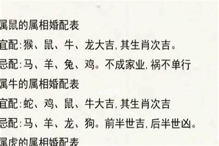 端午节的十大禁忌