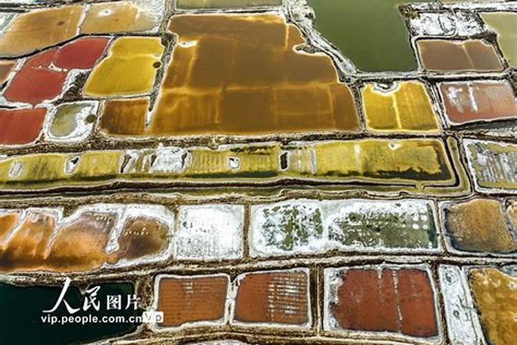 2024立冬什么时候是哪天 立冬民俗:酿黄酒、去冬泳、吃饺子、涮羊肉百...