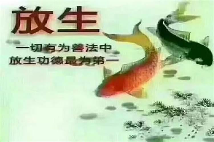 一天放生什么时间最好 清明节可以放生吗
