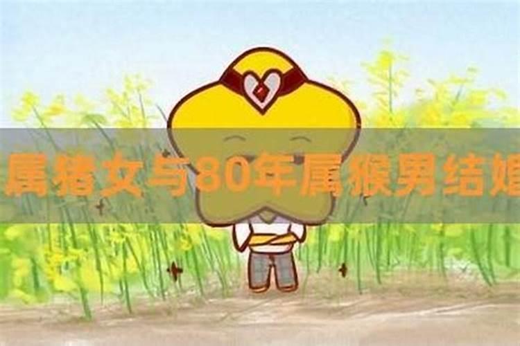 1980年属猴2024年冲太岁运气如何 80年42岁生肖猴犯太岁如何化解
