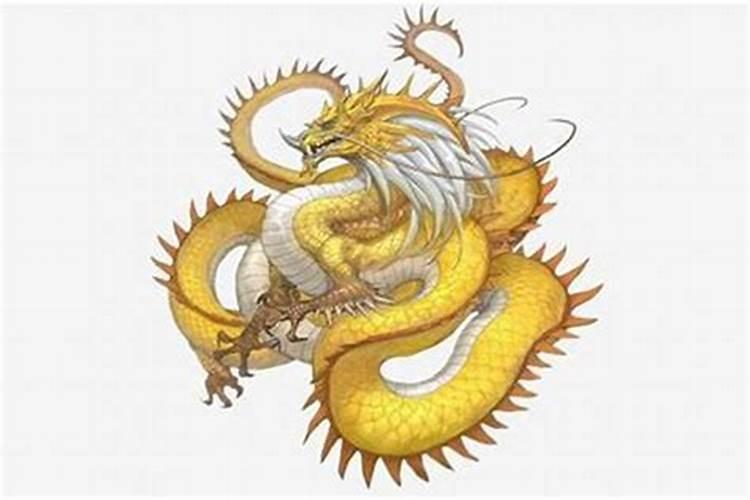76年女属龙81年男属鸡相配吗？
