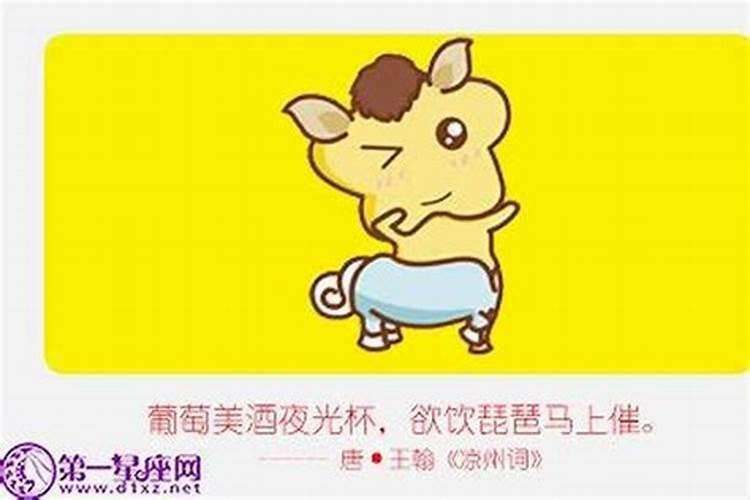 马爸爸和猪宝宝会不会相冲