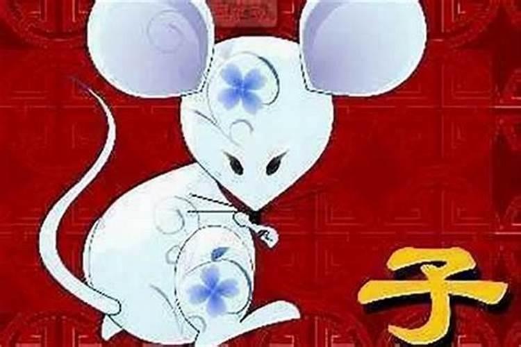 男鼠找什么属相最好