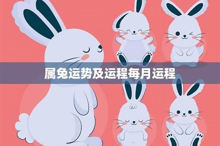 65蛇男今年每月运势