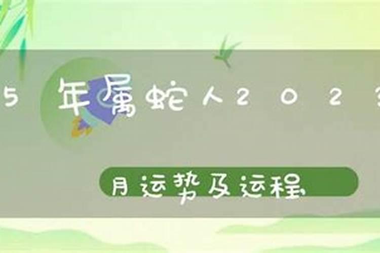 65年属蛇2025年运势如何