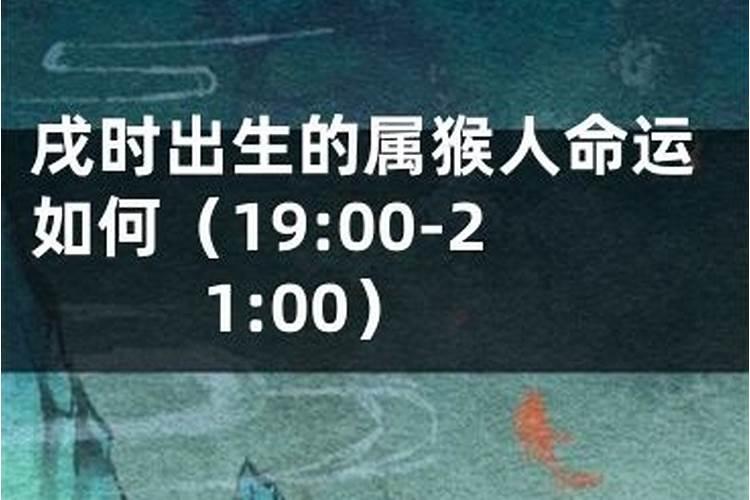 生肖猴2025年运势 属猴2025年运势及运程