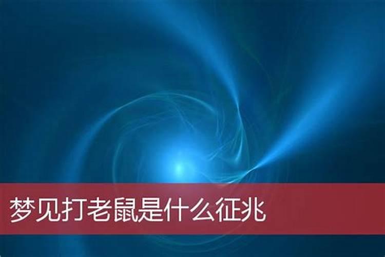 梦见自己在追打老鼠预示什么 梦见自己在追打老鼠什么意思
