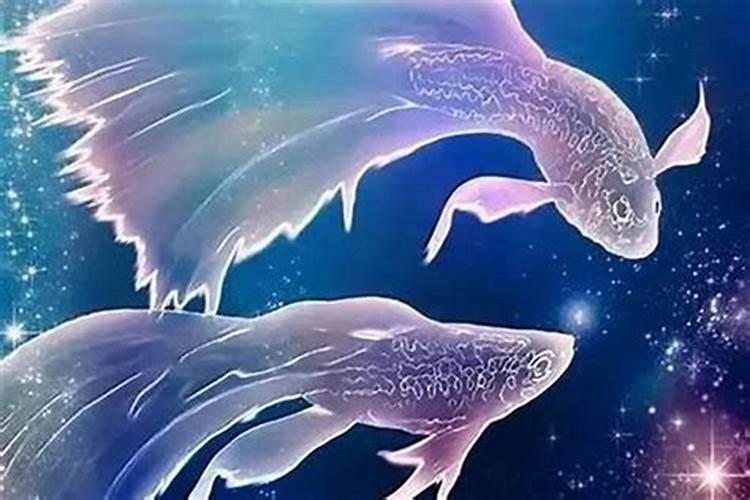 双鱼座运势6月运势