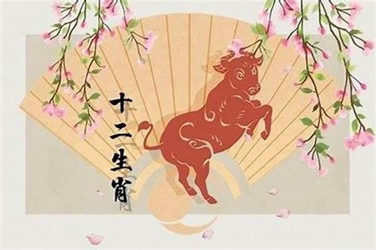 属牛人一生命运与姻缘
