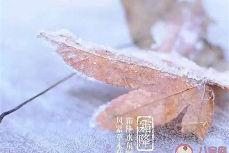 朋友圈注意保暖的句子立冬当天