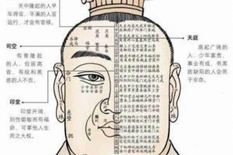 从面相三停来看个人的情感运势变化,从面相三停来看个人的情感运势好坏...