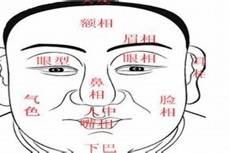 面相:三停看你人生运势