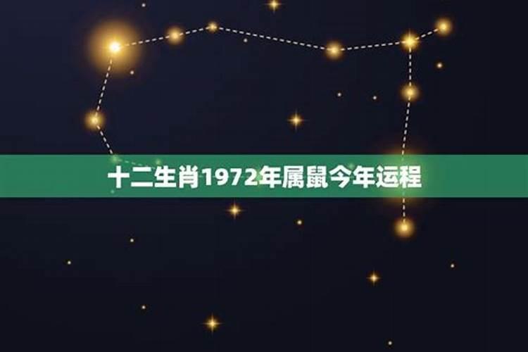 生肖鼠1972年2025年运势如何 生肖鼠1972年2025年全年运势